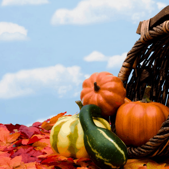 Storing Fall Foods – How to Make the Harvest Last
