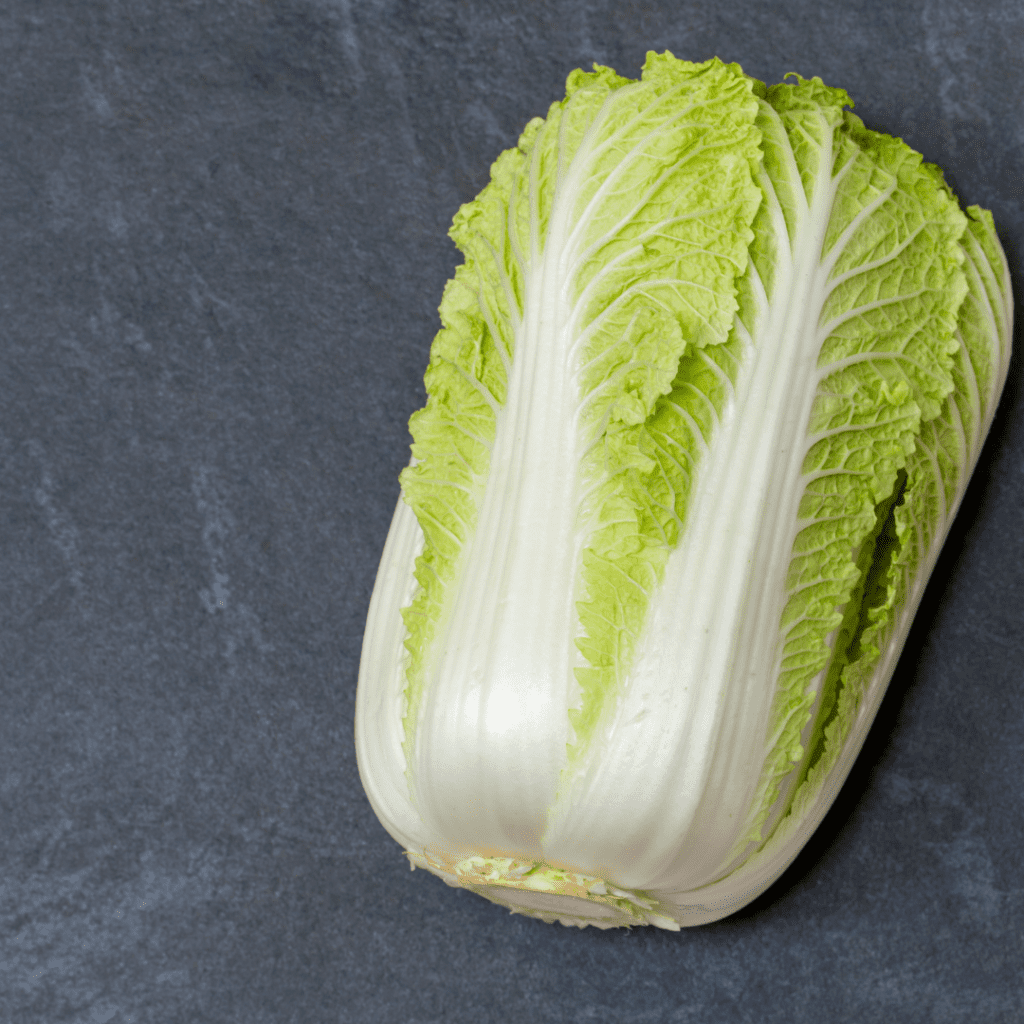Napa cabbage which can be used as a substitute for cabbage of other types