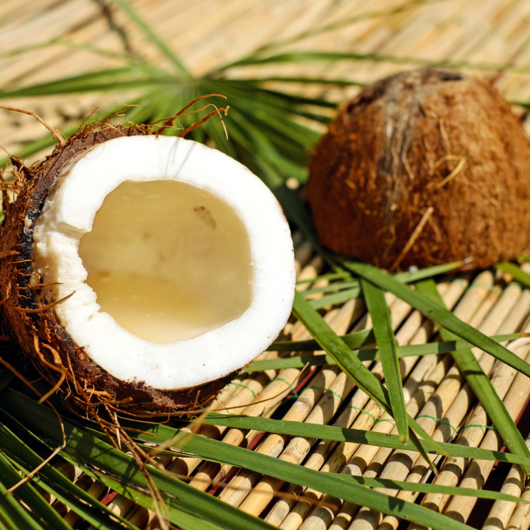 Coconut Substitutes That You Need to Know About